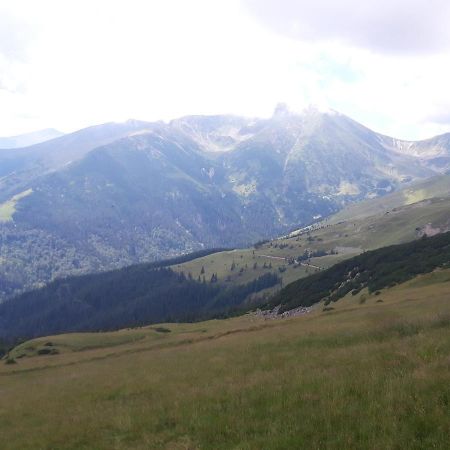 Piatra Rancii Ξενοδοχείο Ranca Εξωτερικό φωτογραφία