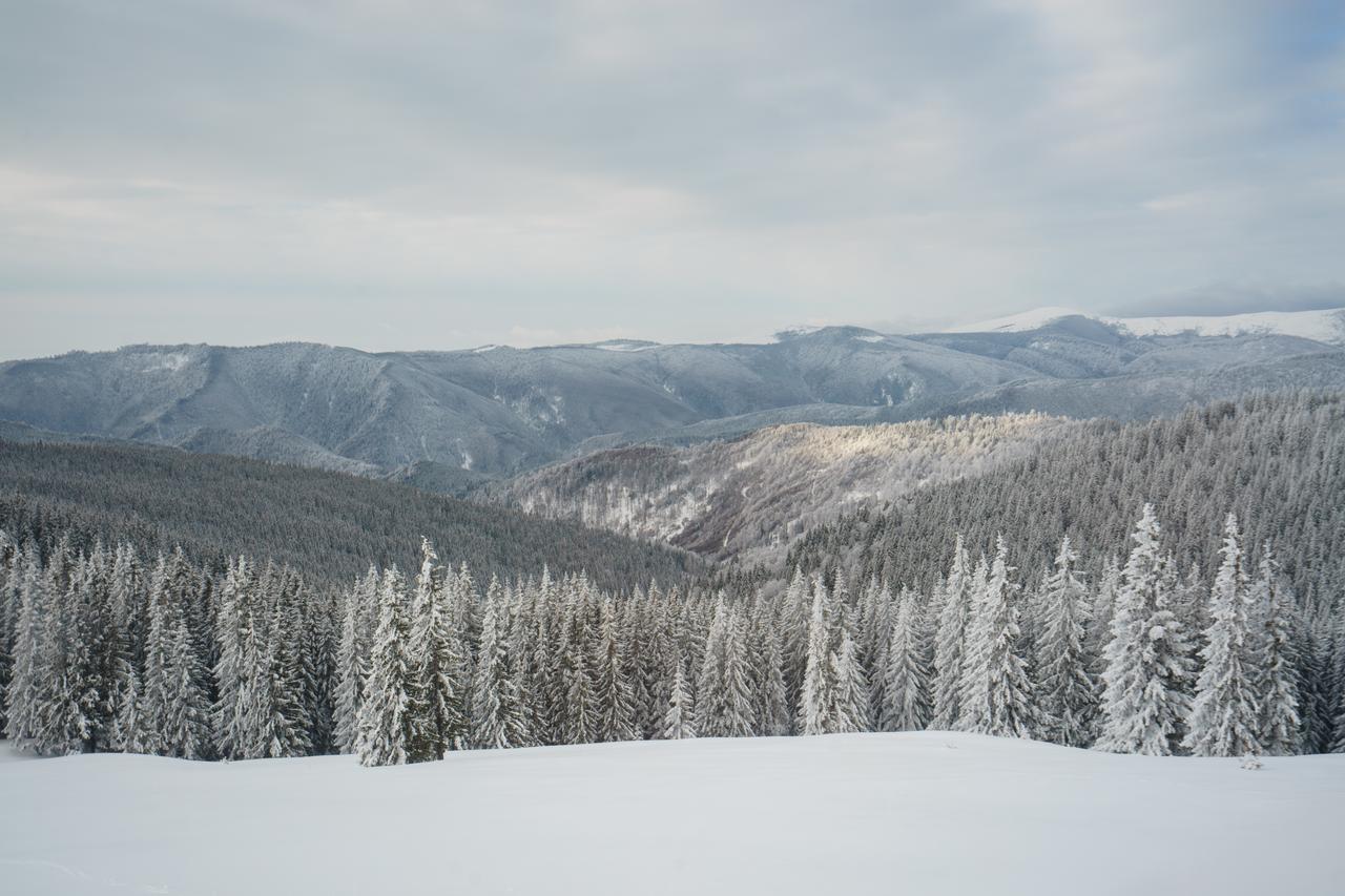 Piatra Rancii Ξενοδοχείο Ranca Εξωτερικό φωτογραφία